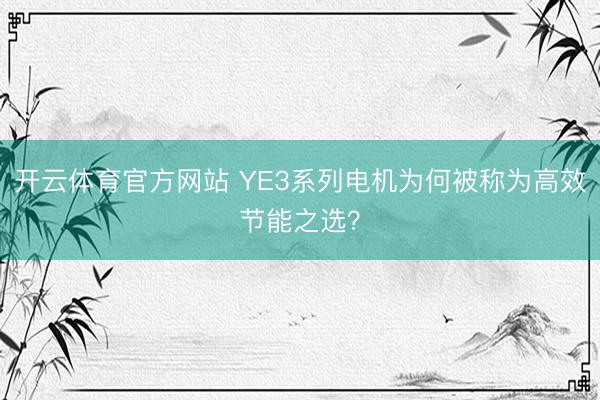 开云体育官方网站 YE3系列电机为何被称为高效节能之选？
