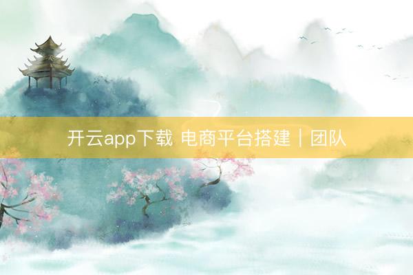 开云app下载 电商平台搭建｜团队