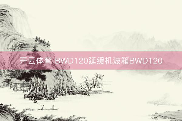 开云体育 BWD120延缓机波箱BWD120
