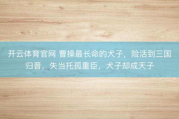 开云体育官网 曹操最长命的犬子，险活到三国归晋，失当托孤重臣，犬子却成天子