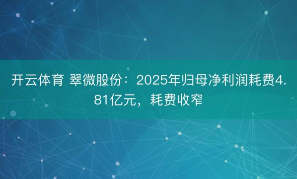 开云体育 翠微股份：2025年归母净利润耗费4.81亿元，耗费收窄