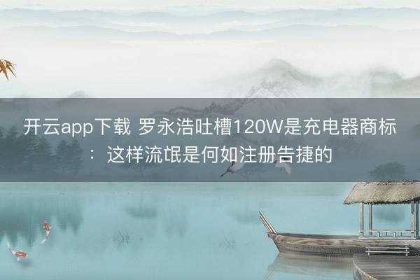 开云app下载 罗永浩吐槽120W是充电器商标:这样流氓是何如注册告捷的