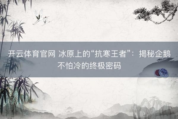 开云体育官网 冰原上的“抗寒王者”：揭秘企鹅不怕冷的终极密码